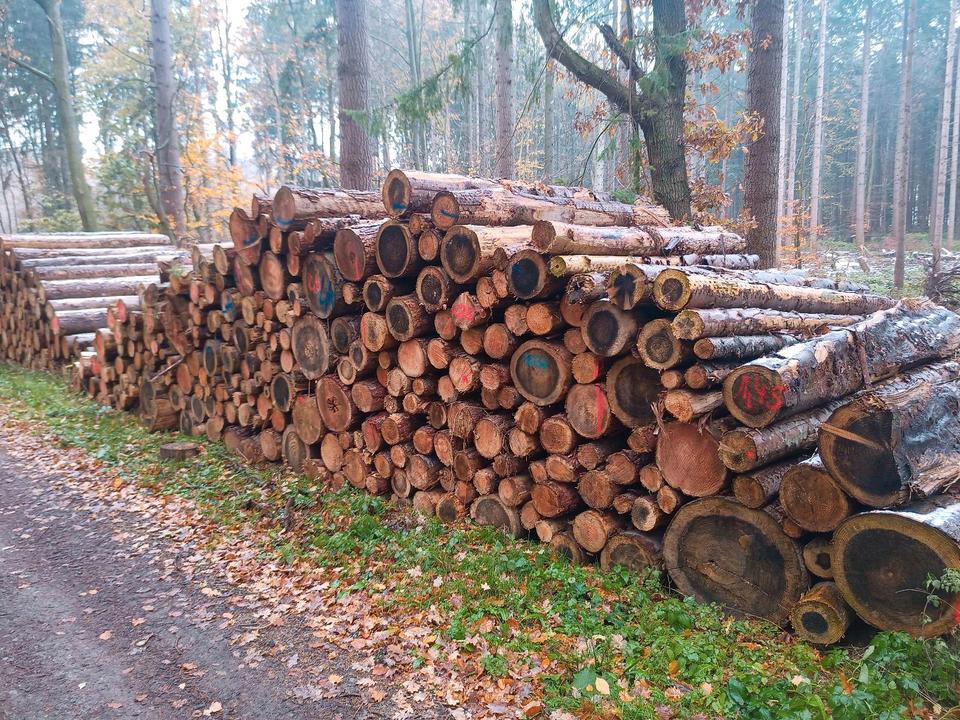 Stammholz - Nadelholz